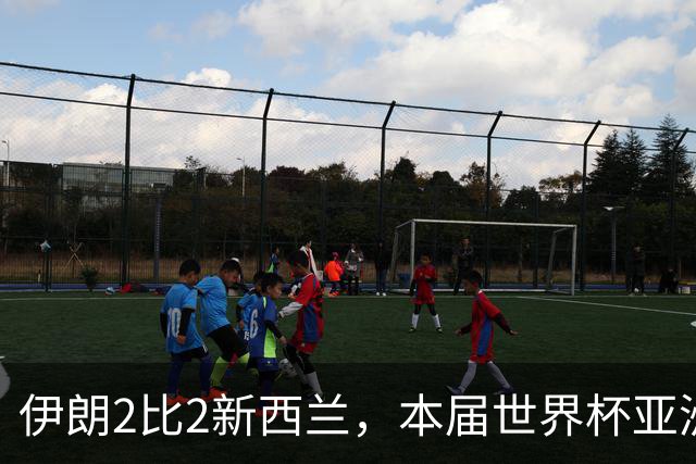 伊朗2比2新西兰，本届世界杯亚洲球队保持不败